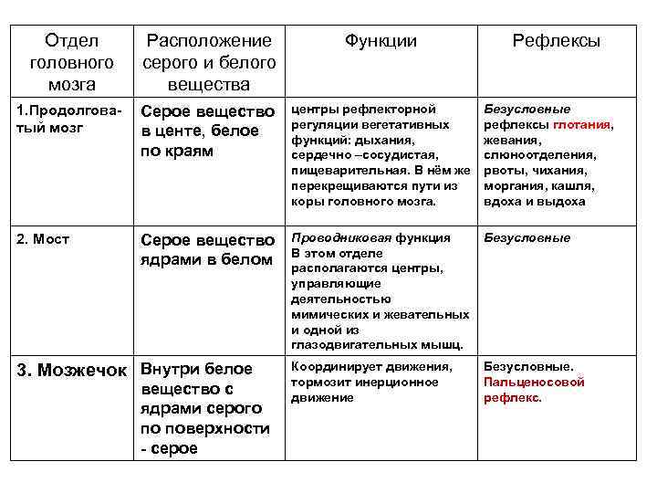 Используя обозначения рисунка заполните таблицу отделы головного мозга и их функции