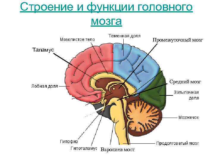 Функции головного телефона не поддерживаются в текущей аппаратной среде