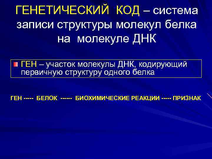 ГЕНЕТИЧЕСКИЙ КОД – система записи структуры молекул белка на молекуле ДНК ГЕН – участок