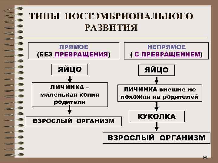 Чем прямое отличается от непрямого