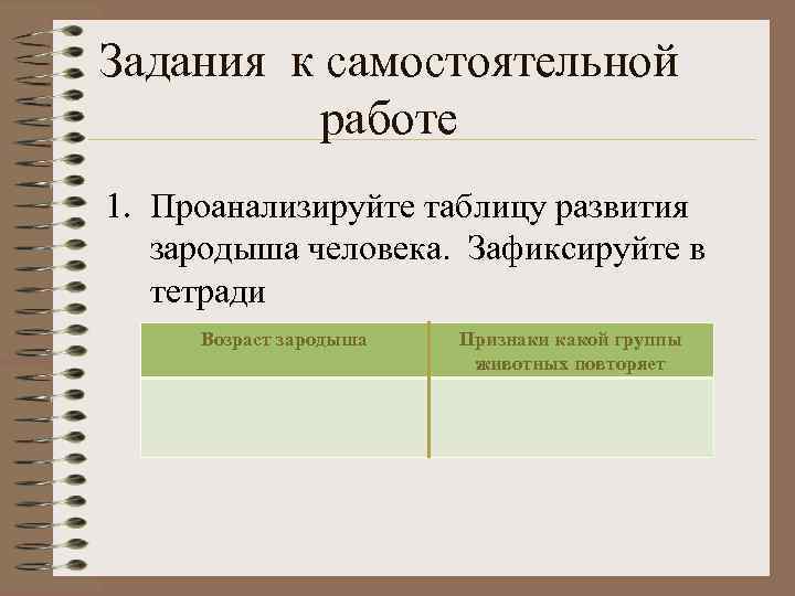 Задания к самостоятельной работе 1. Проанализируйте таблицу развития зародыша человека. Зафиксируйте в тетради Возраст