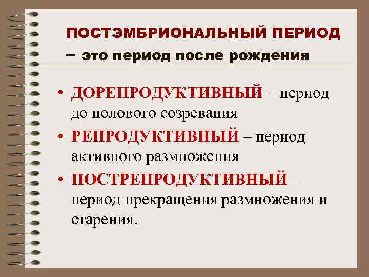 ПОСТЭМБРИОНАЛЬНЫЙ ПЕРИОД – это период после рождения • ДОРЕПРОДУКТИВНЫЙ – период до полового созревания