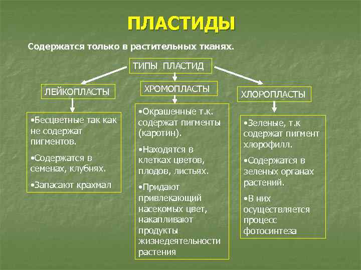 Строение и функции кратко. Пластиды строение и функции 10 класс. Хлоропласты хромопласты лейкопласты функции. Функции пластид в клетке. Пластиды особенности строения и функции.