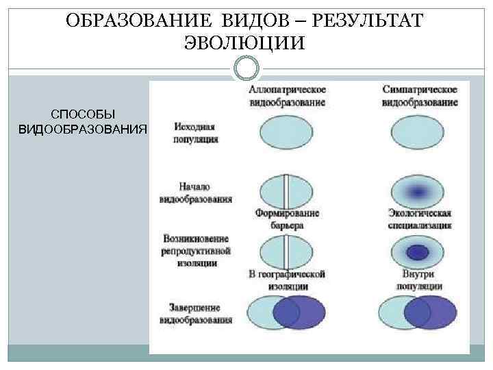 В результате взаимодействия движущих сил эволюции происходит