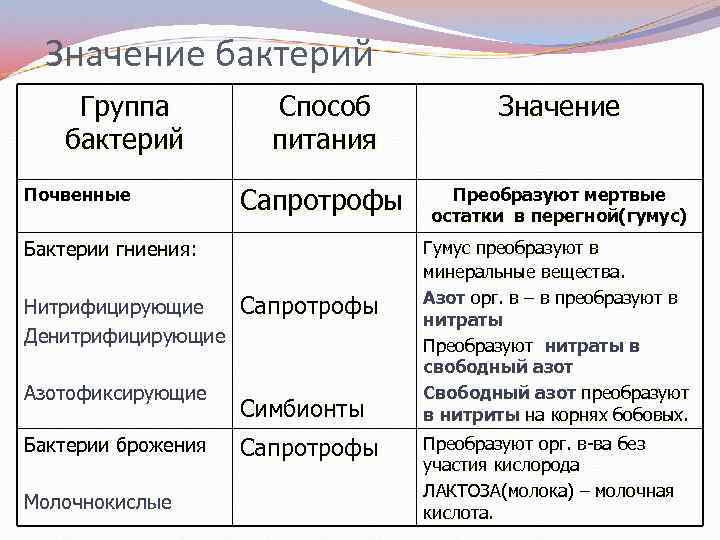 Значение бактерий Группа бактерий Почвенные Способ питания Значение Сапротрофы Преобразуют мертвые остатки в перегной(гумус)