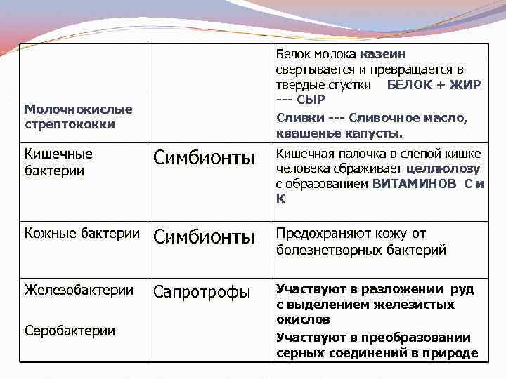 Белок молока казеин свертывается и превращается в твердые сгустки БЕЛОК + ЖИР --- СЫР