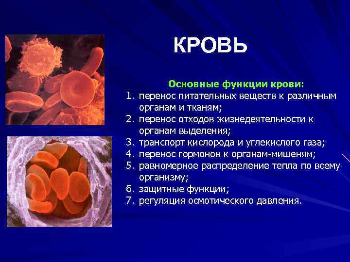 Орган вещества. Переносит питательные вещества. Вещества, которые кровь транспортируют внутри организма. Перенос питательных веществ кровью. Кровь переносит питательные вещества.