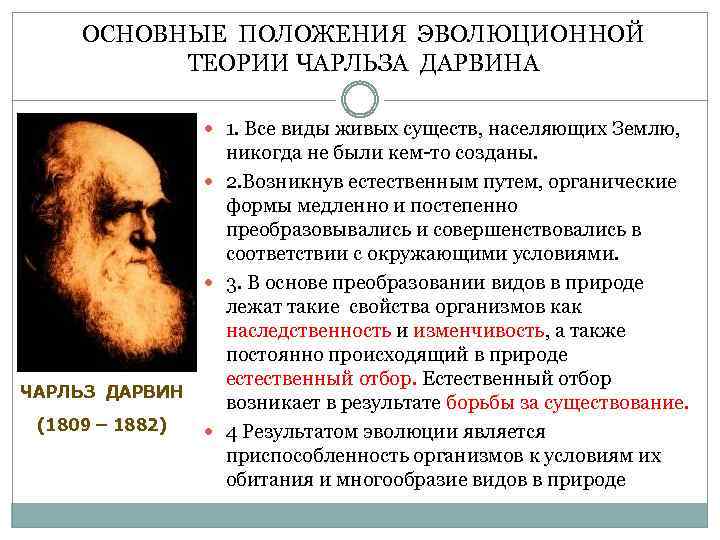 ОСНОВНЫЕ ПОЛОЖЕНИЯ ЭВОЛЮЦИОННОЙ ТЕОРИИ ЧАРЛЬЗА ДАРВИНА 1. Все виды живых существ, населяющих Землю, ЧАРЛЬЗ