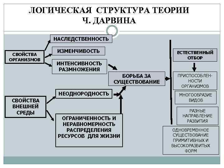 Оформите схему логическая структура дарвинизма живые организмы характеризуются жизненные ресурсы