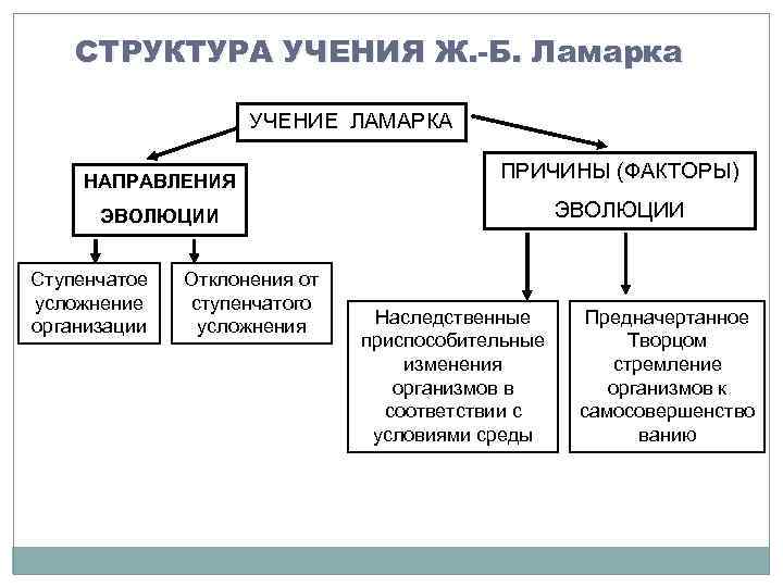 СТРУКТУРА УЧЕНИЯ Ж. -Б. Ламарка УЧЕНИЕ ЛАМАРКА НАПРАВЛЕНИЯ ПРИЧИНЫ (ФАКТОРЫ) ЭВОЛЮЦИИ Ступенчатое усложнение организации