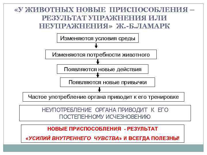  «У ЖИВОТНЫХ НОВЫЕ ПРИСПОСОБЛЕНИЯ – РЕЗУЛЬТАТ УПРАЖНЕНИЯ ИЛИ НЕУПРАЖНЕНИЯ» Ж. -Б. ЛАМАРК Изменяются