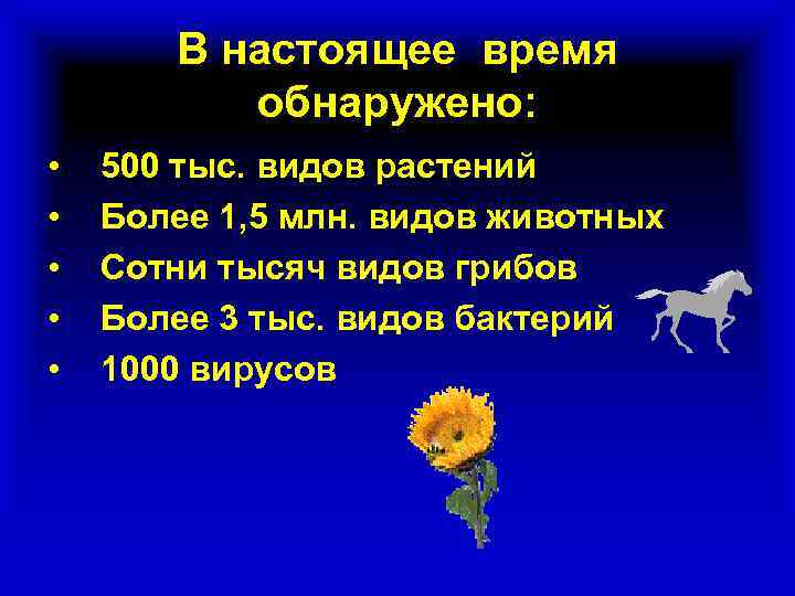 В настоящее время обнаружено: • • • 500 тыс. видов растений Более 1, 5