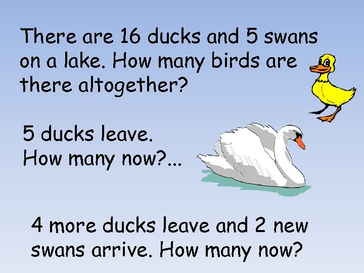 There are 16 ducks and 5 swans on a lake. How many birds are