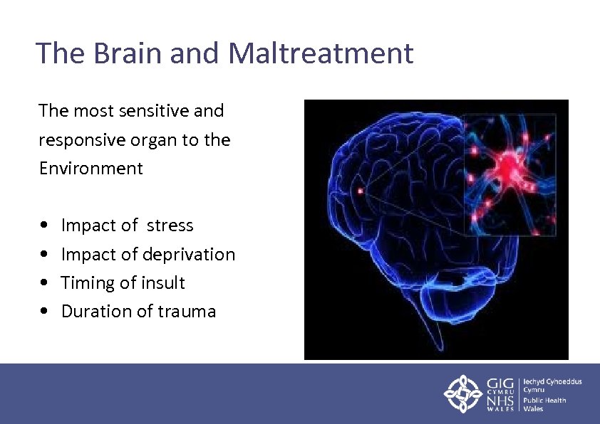 The Brain and Maltreatment The most sensitive and responsive organ to the Environment •