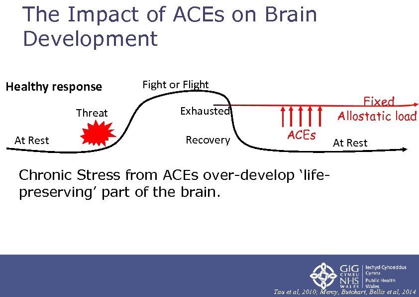 The Impact of ACEs on Brain Development Healthy response Threat At Rest Fight or