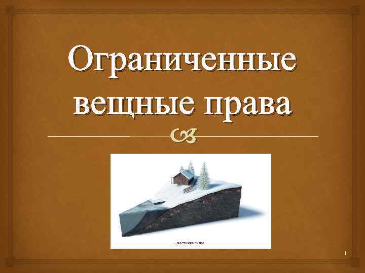 Ограниченные вещные права 1 