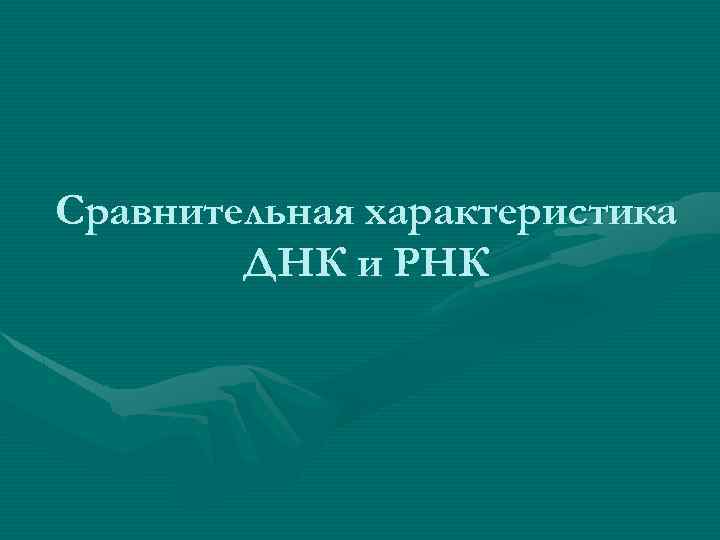 Сравнительная характеристика ДНК и РНК 