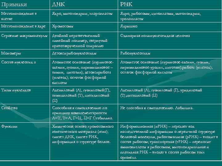 Признаки ДНК РНК Местонахождение в клетке Ядро, митохондрии, хлоропласты Ядро, рибосомы, цитоплазмы, митохондрии, хролопласты