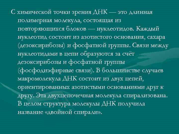 С химической точки зрения ДНК — это длинная полимерная молекула, состоящая из повторяющихся блоков