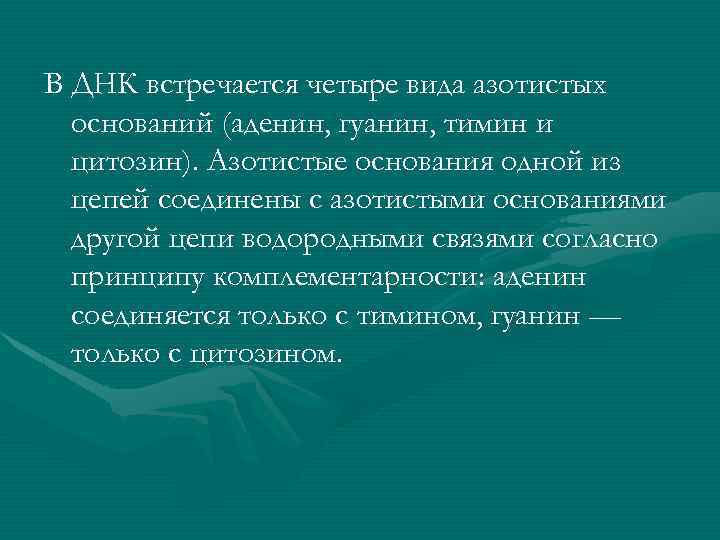 В ДНК встречается четыре вида азотистых оснований (аденин, гуанин, тимин и цитозин). Азотистые основания