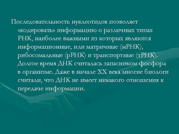 Последовательность нуклеотидов позволяет «кодировать» информацию о различных типах РНК, наиболее важными из которых являются