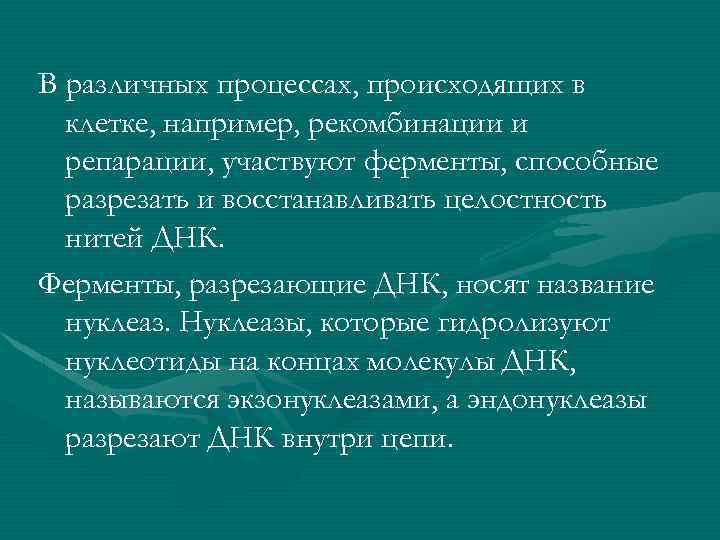 В различных процессах, происходящих в клетке, например, рекомбинации и репарации, участвуют ферменты, способные разрезать