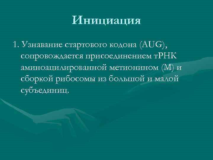Инициация 1. Узнавание стартового кодона (AUG), сопровождается присоединением т. РНК аминоацилированной метионином (М) и