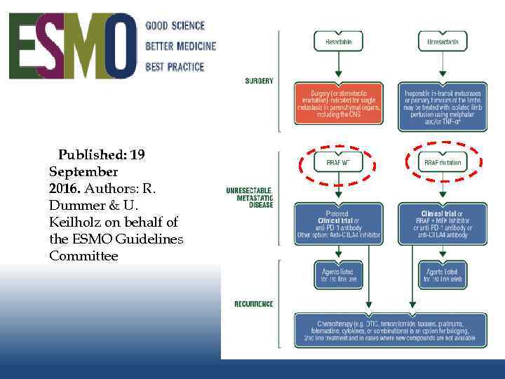  Published: 19 September 2016. Authors: R. Dummer & U. Keilholz on behalf of