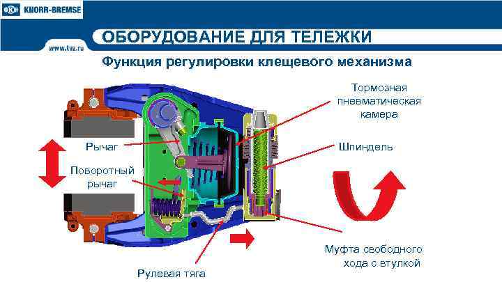 ОБОРУДОВАНИЕ ДЛЯ ТЕЛЕЖКИ Функция регулировки клещевого механизма Тормозная пневматическая камера Рычаг Шпиндель Поворотный рычаг