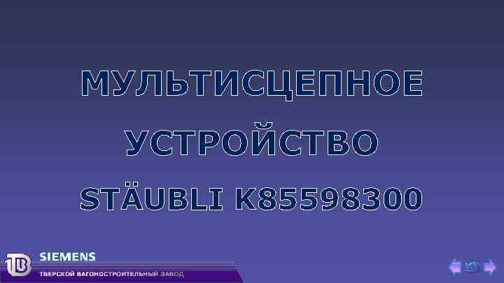 МУЛЬТИСЦЕПНОЕ УСТРОЙСТВО STÄUBLI K 85598300 