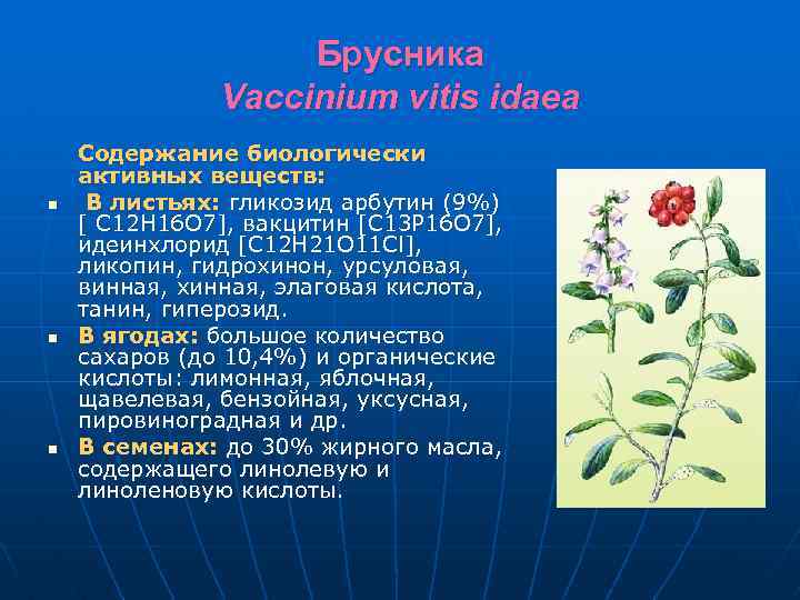 Основные группы лекарственных растений. БАВ брусники. Лекарственные растения содержащие биологически активные вещества. Брусника обыкновенная БАВ. Формула цветка брусники обыкновенной.