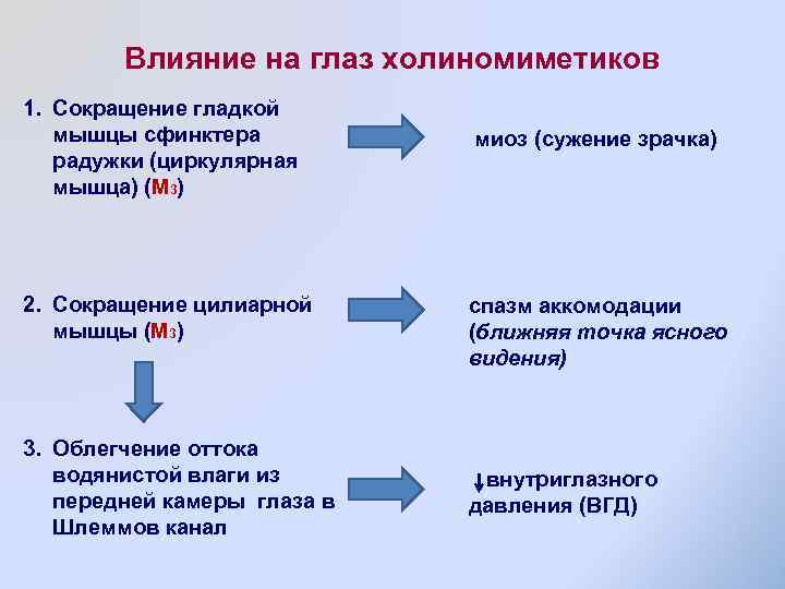 Влияние на глаз холиномиметиков 1. Сокращение гладкой мышцы сфинктера радужки (циркулярная мышца) (М 3)