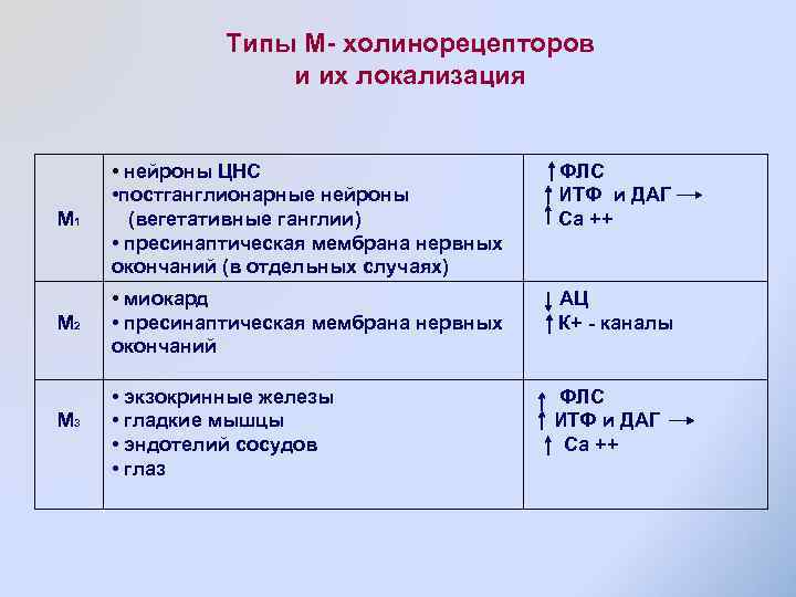 Типы М- холинорецепторов и их локализация М 1 • нейроны ЦНС • постганглионарные нейроны