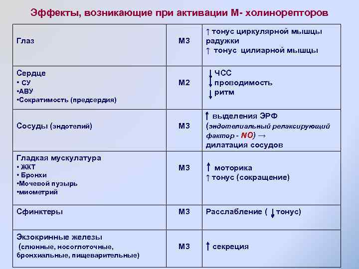 Эффекты, возникающие при активации М- холинорепторов Глаз Сердце • СУ М 3 М 2