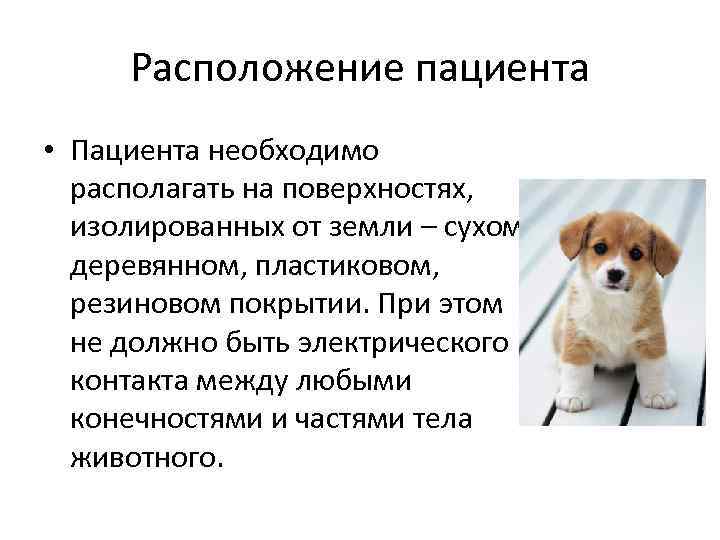 Расположение пациента • Пациента необходимо располагать на поверхностях, изолированных от земли – сухом деревянном,