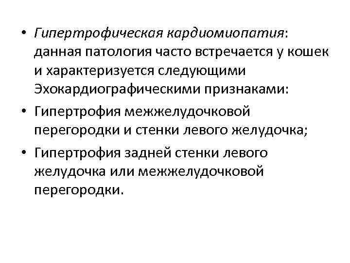  • Гипертрофическая кардиомиопатия: данная патология часто встречается у кошек и характеризуется следующими Эхокардиографическими