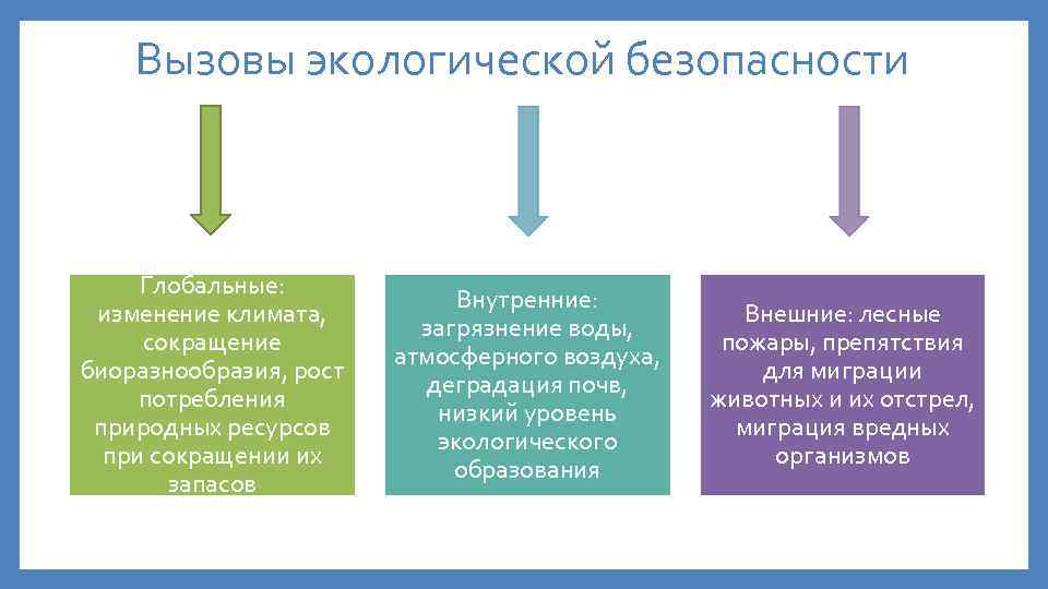 Глобальный региональный локальный уровни. Глобальный уровень экологической безопасности. Внешние и внутренние экологические угрозы. Проблемы мировой безопасности.