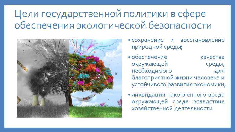Цели государственной политики в сфере обеспечения экологической безопасности • сохранение и восстановление природной среды;