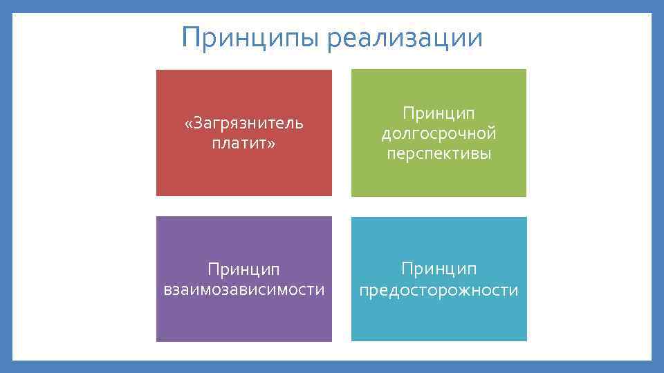 Принципы реализации «Загрязнитель платит» Принцип долгосрочной перспективы Принцип взаимозависимости Принцип предосторожности 