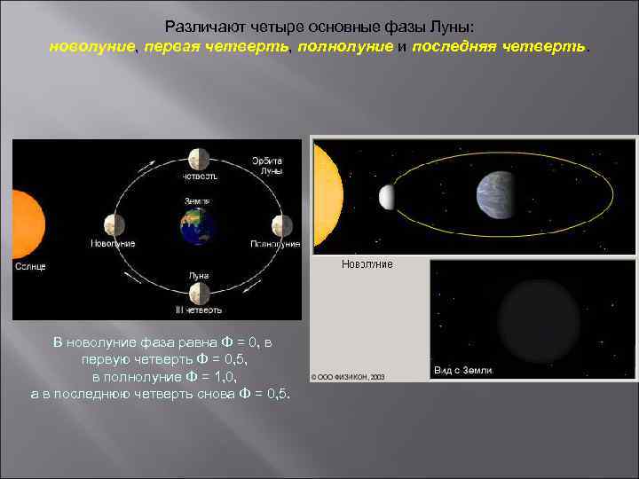 Различают четыре основные фазы Луны: новолуние, первая четверть, полнолуние и последняя четверть. В новолуние