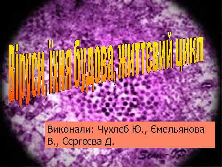 Виконали: Чухлєб Ю. , Ємельянова В. , Сєргєєва Д. 