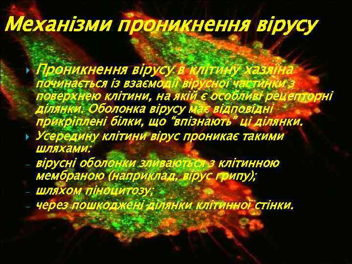 Механізми проникнення вірусу - Проникнення вірусу в клітину хазяїна починається із взаємодії вірусної частинки