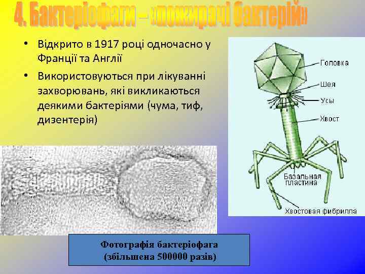  • Відкрито в 1917 році одночасно у Франції та Англії • Використовуються при