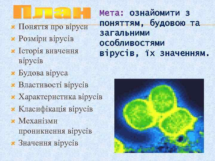  Мета: ознайомити з поняттям, будовою та загальними особливостями вірусів, їх значенням. Поняття про