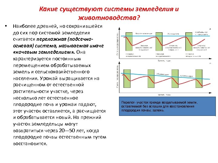 Какие существуют системы земледелия и животноводства? • Наиболее древней, но сохранившейся до сих пор