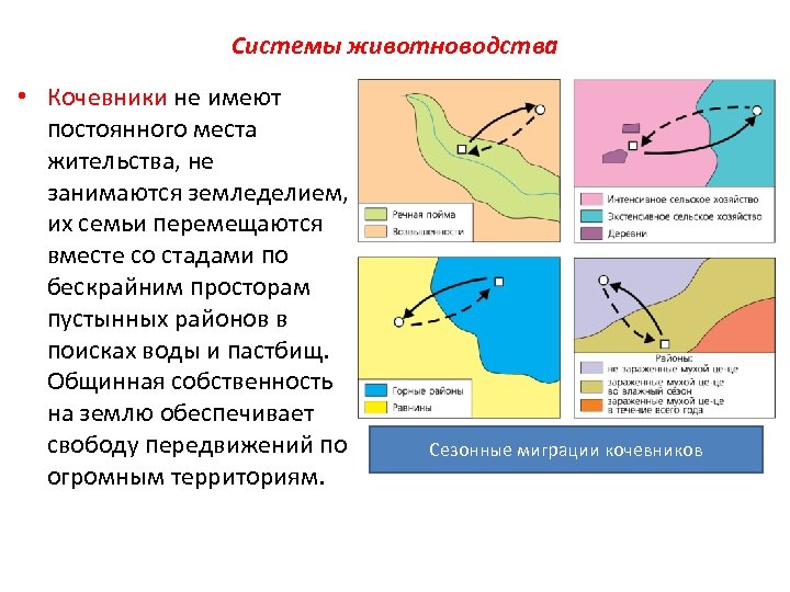 Системы животноводства • Кочевники не имеют постоянного места жительства, не занимаются земледелием, их семьи