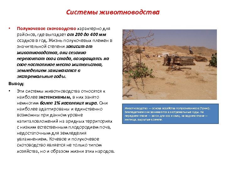 Системы животноводства Полукочевое скотоводство характерно для районов, где выпадает от 200 до 400 мм