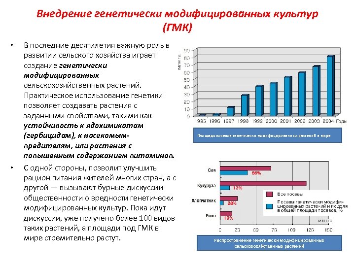 Внедрение генетически модифицированных культур (ГМК) • • В последние десятилетия важную роль в развитии