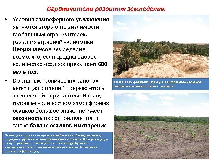 Ограничители развития земледелия. • Условия атмосферного увлажнения являются вторым по значимости глобальным ограничителем развития