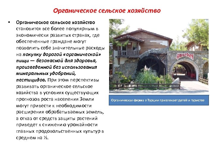 Органическое сельское хозяйство • Органическое сельское хозяйство становится все более популярным в экономически развитых